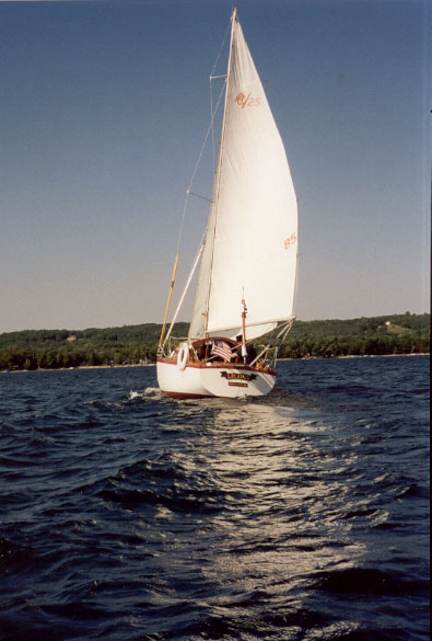 Lichen11.jpg (61056 bytes)