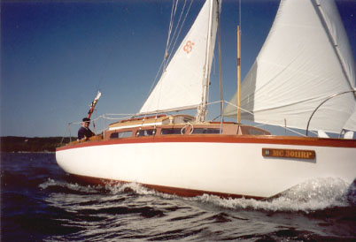 Lichen12.jpg (33540 bytes)