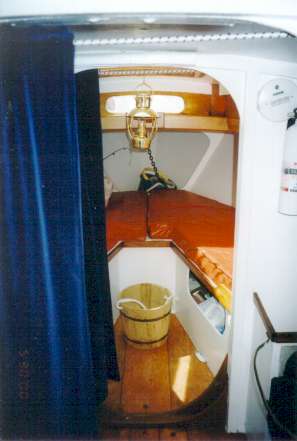 Lichen 10.jpg (15705 bytes)