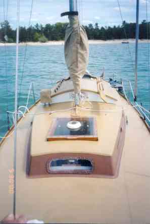 Lichen 2.jpg (10514 bytes)