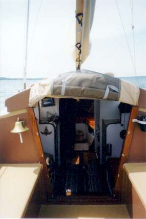 Lichen 4.jpg (13186 bytes)