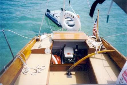 Lichen 7.jpg (19430 bytes)