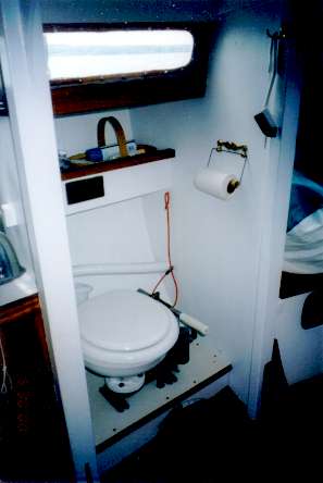 Lichen 9.jpg (13805 bytes)