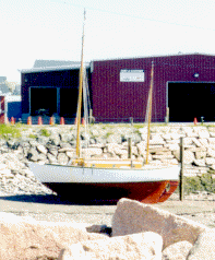 wpe1.gif (23852 bytes)