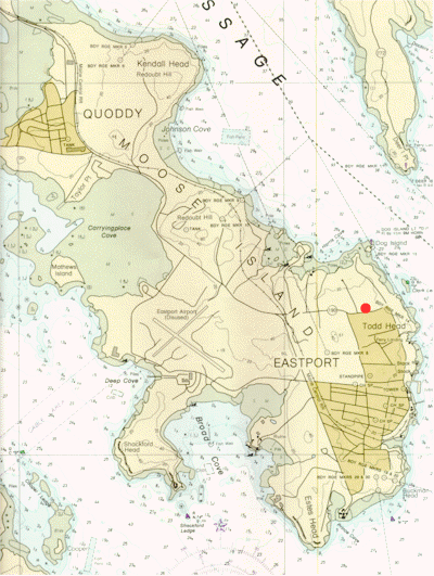 wpe23.gif (112752 bytes)
